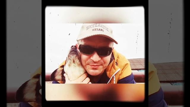 44ВЕСЁЛЫХЧИЖА смотреть онлайн