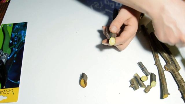 Обзор секатора VERANO 71-801(220mm) смотреть онлайн