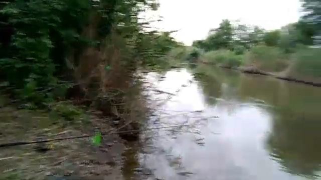 Рыбалка на Аксае. 1июня смотреть онлайн