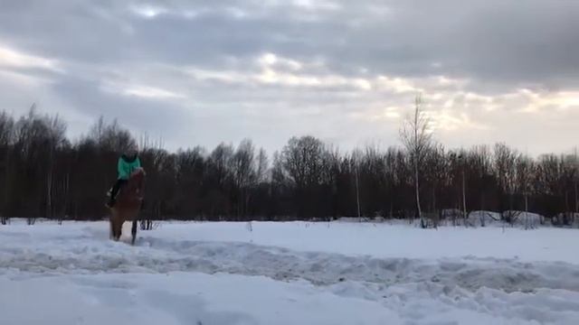 Верховая езда Тренировка ошибки смотреть онлайн