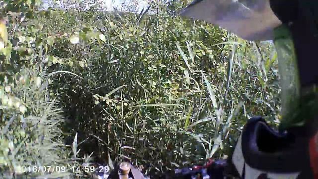 Полуостров на Мазуринском смотреть онлайн