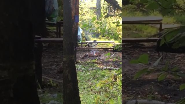 Д-Дача смотреть онлайн