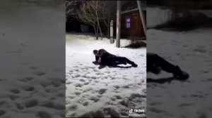 Устали мои ноги