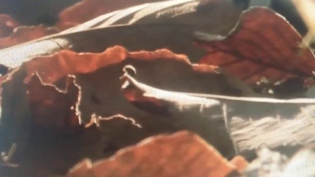 Сергей Есенин- стихотворение "Закружилась листва золотая.. ". Читает АКА смотреть онлайн