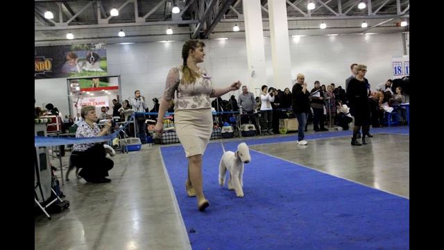 грустный данделион с долгих прудов :( смотреть онлайн