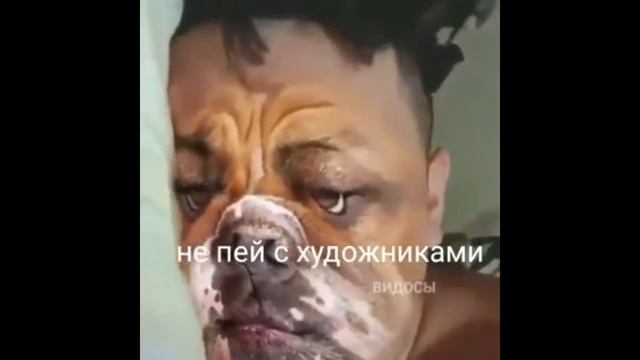 Приколы 2019 -авг??