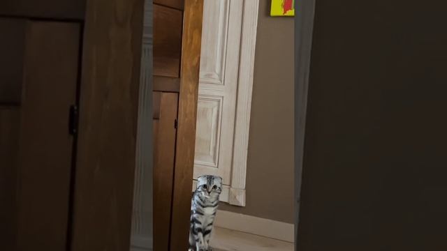 ХАХАХВХВХВХВХАХАХАХ смотреть онлайн