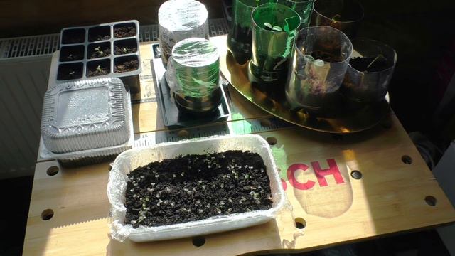 Базилик за три дня смотреть онлайн