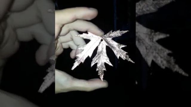 Гальванопластика. Кленовый Листик покрытый медью. смотреть онлайн