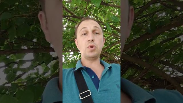 Не строит мастеровой дудук? смотреть онлайн