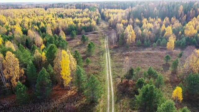 Логуницы - 2021 смотреть онлайн