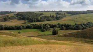 Трофим Родина