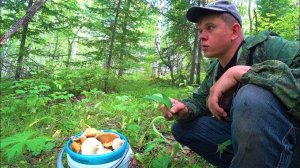 Про поездку за груздями и строительно ремонтные работы