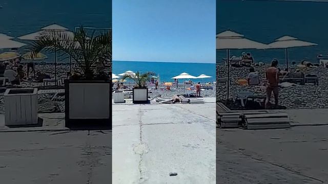 Адлер совхоз Россия смотреть онлайн