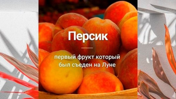 ИНТЕРЕСНО!??INTERESTING!??