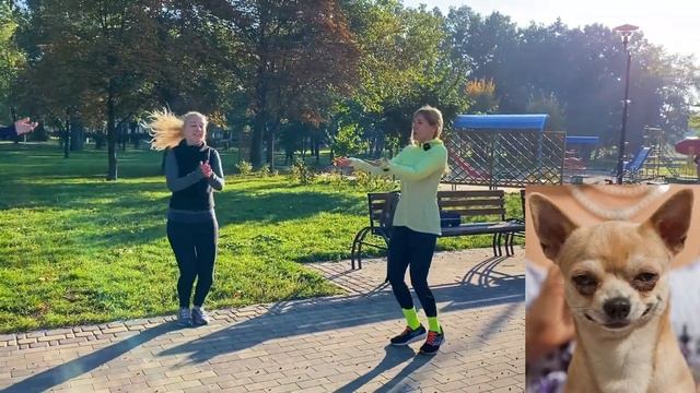 Разминка перед бегом. Заминка после бега смотреть онлайн