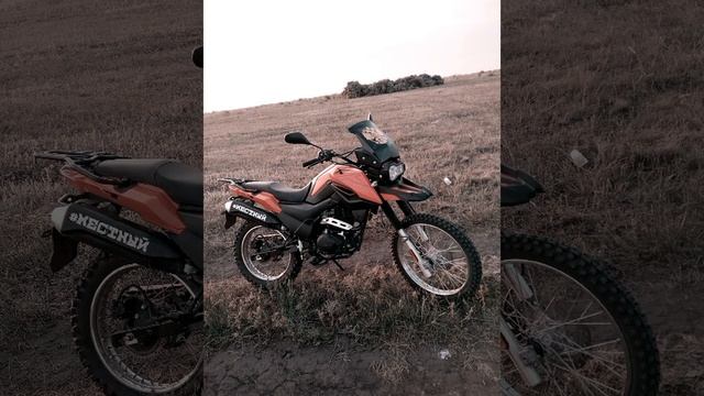 Fireguard 200,alpha 110 хотите обзор?