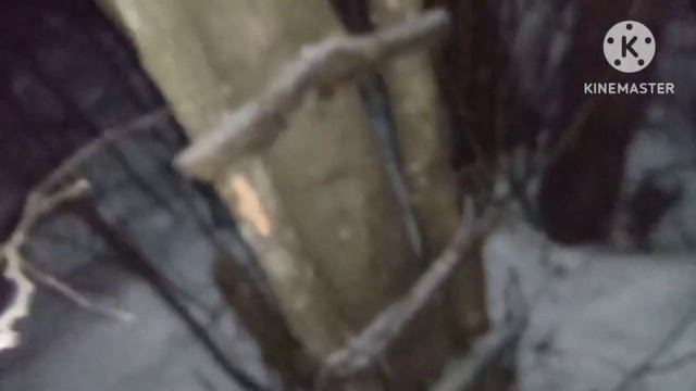 Пришли посмотреть на домик спустя 3года смотреть онлайн