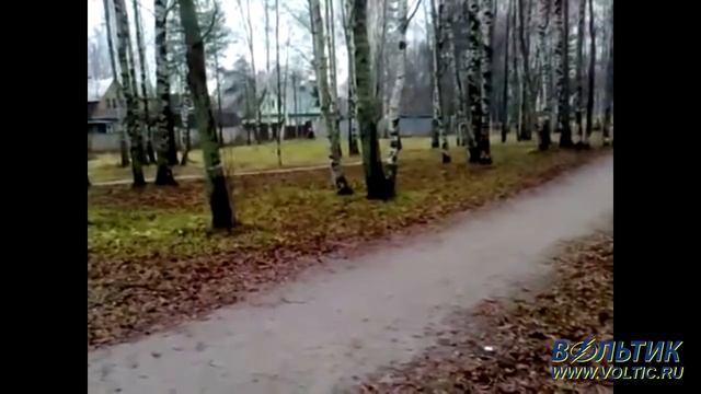 Электровелосипед Volteco Freego 250 смотреть онлайн