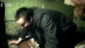 Е 999 Слоновые сказки / Восточный братишка