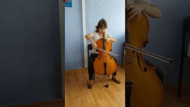 Вивальди ЗИМА на виолончели