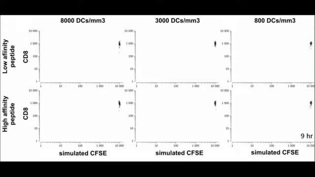 A virtual lymph node model to dissect the requirements for T-cell activation by synapses смотреть онлайн