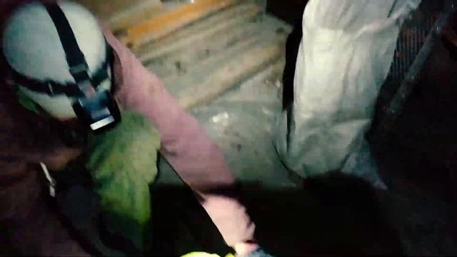 Шишечных дел Мастера Алтайский край сбор кедровой шишки 2 часть смотреть онлайн