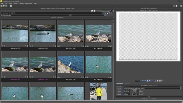 Qimage Ultimate Image Databasing Demo смотреть онлайн
