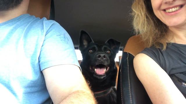 ДАНА! ПУТЬ ДОМОЙ! смотреть онлайн