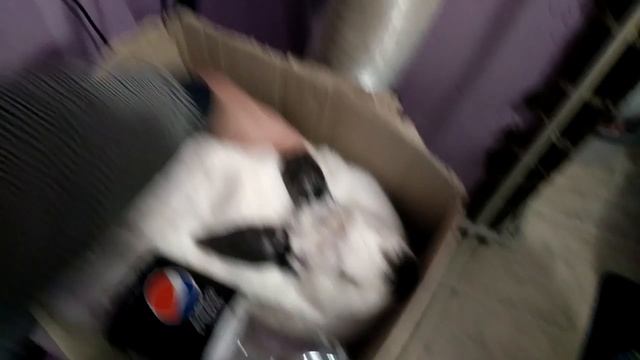 Кролики, як не срачка то понос! Что за не везение смотреть онлайн