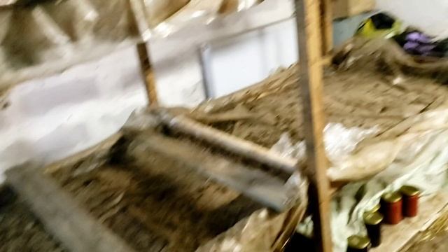 заложил пшеницу на проращивание для червей смотреть онлайн