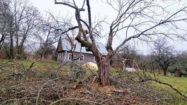 Как я омолаживаю старый яблоневый сад на хуторе. День 1. #хочувдеревню #обрезкасада смотреть онлайн