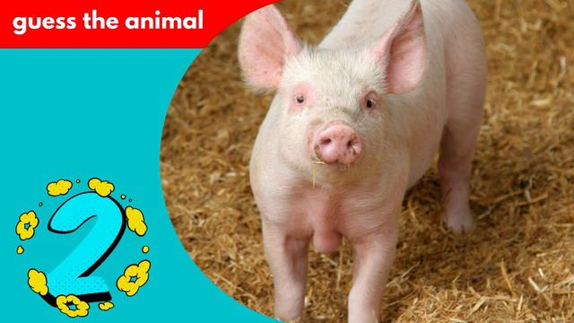 Guess The Animals In 3 SECONDS | Random Animals | Game For Kids смотреть онлайн
