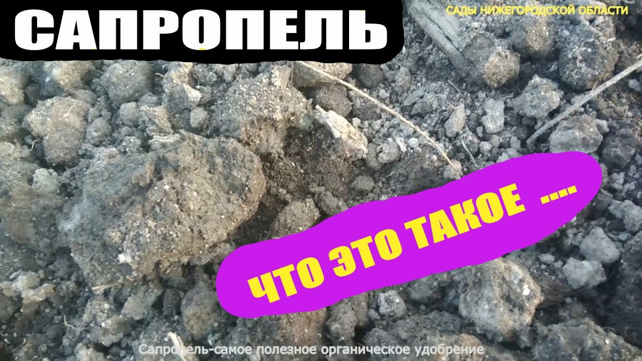 Сапропель.Органические удобрения из озер и болот смотреть онлайн