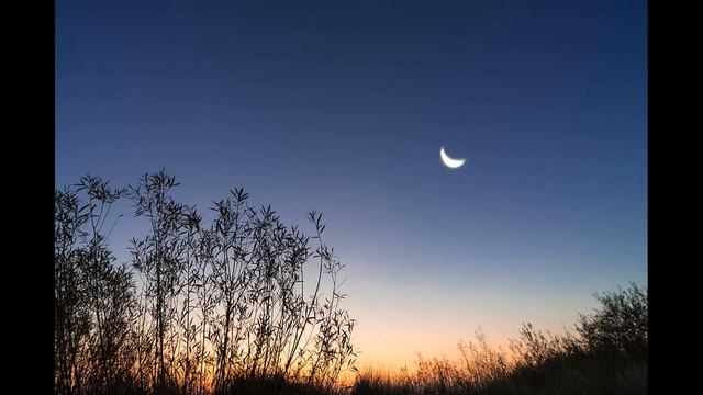 18 июля- ДЕНЬ АФАНАСИЯ. ЛУННЫЙ ПРАЗДНИК. Месяц исполняет все желания.Ждет денежный успех,если... смотреть онлайн