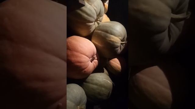 хранение тыквы смотреть онлайн