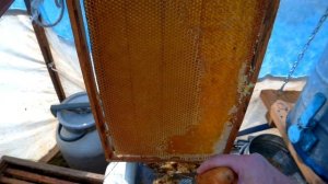 Культиватор для распечатки пчелиных рамок. Культиватор Кузина или вилка.