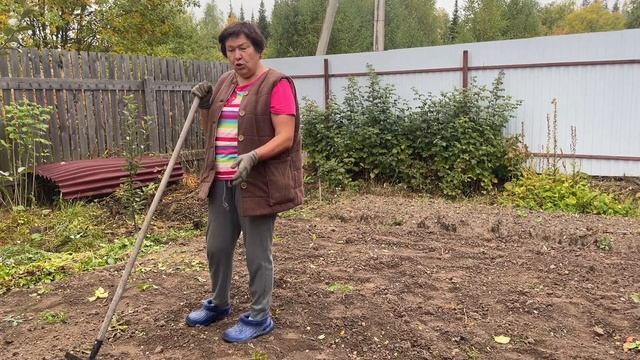 КОПАЕМ КАРТОШКУ. НАШ УРОЖАЙ2022. смотреть онлайн