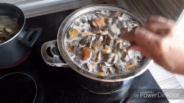 Заготовка грибов смотреть онлайн