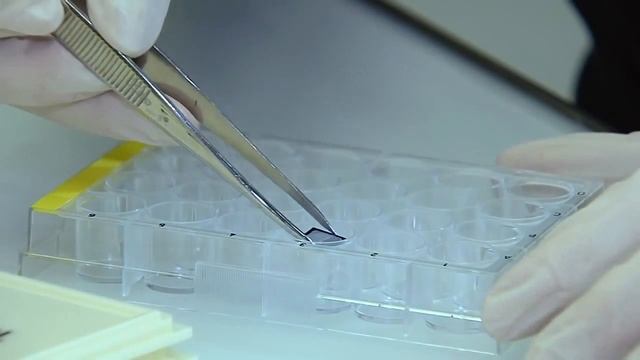 Swiss Federal Institute of Technology Zürich смотреть онлайн