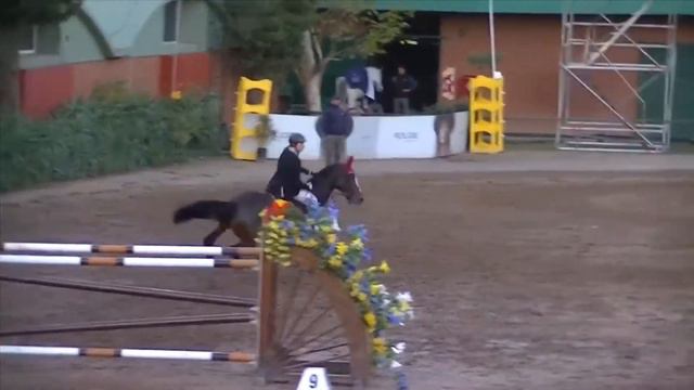 Imanol Gonzalez Rubio. HJ Dina.CHA CSI Sol de Mayo 2018 1.40m 2FE смотреть онлайн