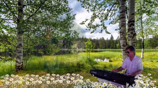 Ромашки спрятались. YAMAHA PSR-S650. Поёт Надежда Соколова(Бурукова) смотреть онлайн