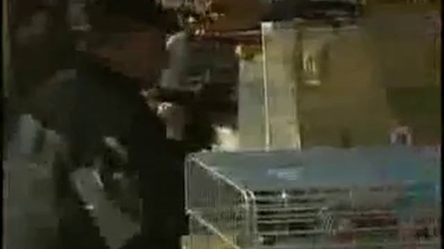 Мода на экзотические животные смотреть онлайн
