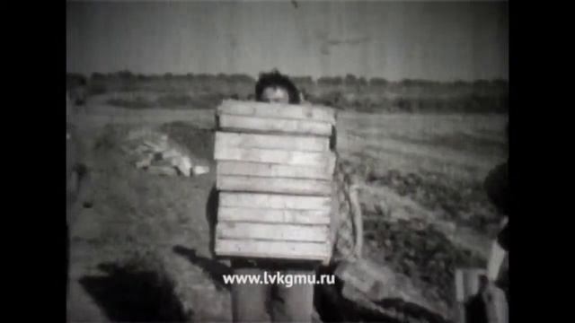 Студенческие строительные отряды КГМУ смотреть онлайн