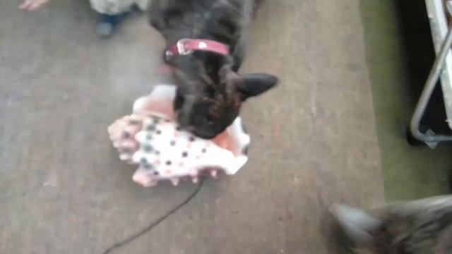 Когда впервые увидел увлажнитель воздуха (что это такое?) смотреть онлайн