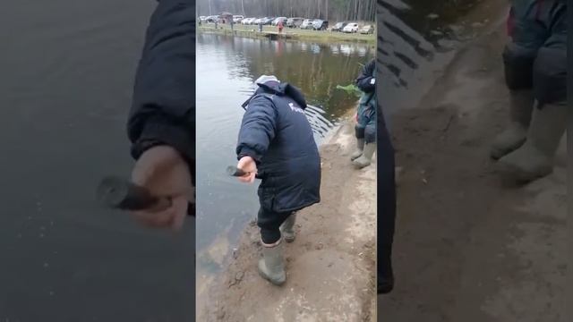 Ловим форель в разных местах водоёма !!! смотреть онлайн