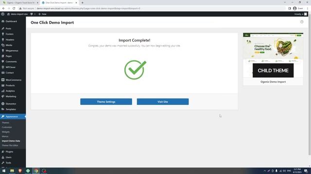 Ogenix WordPress Theme Installation and Demo Import смотреть онлайн