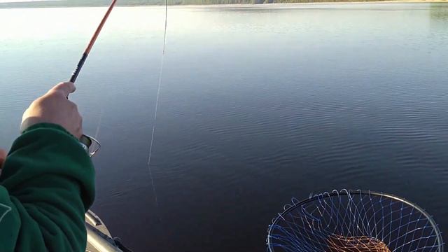 Рыбалка на спиннинг. Судак. Fishing zender! смотреть онлайн