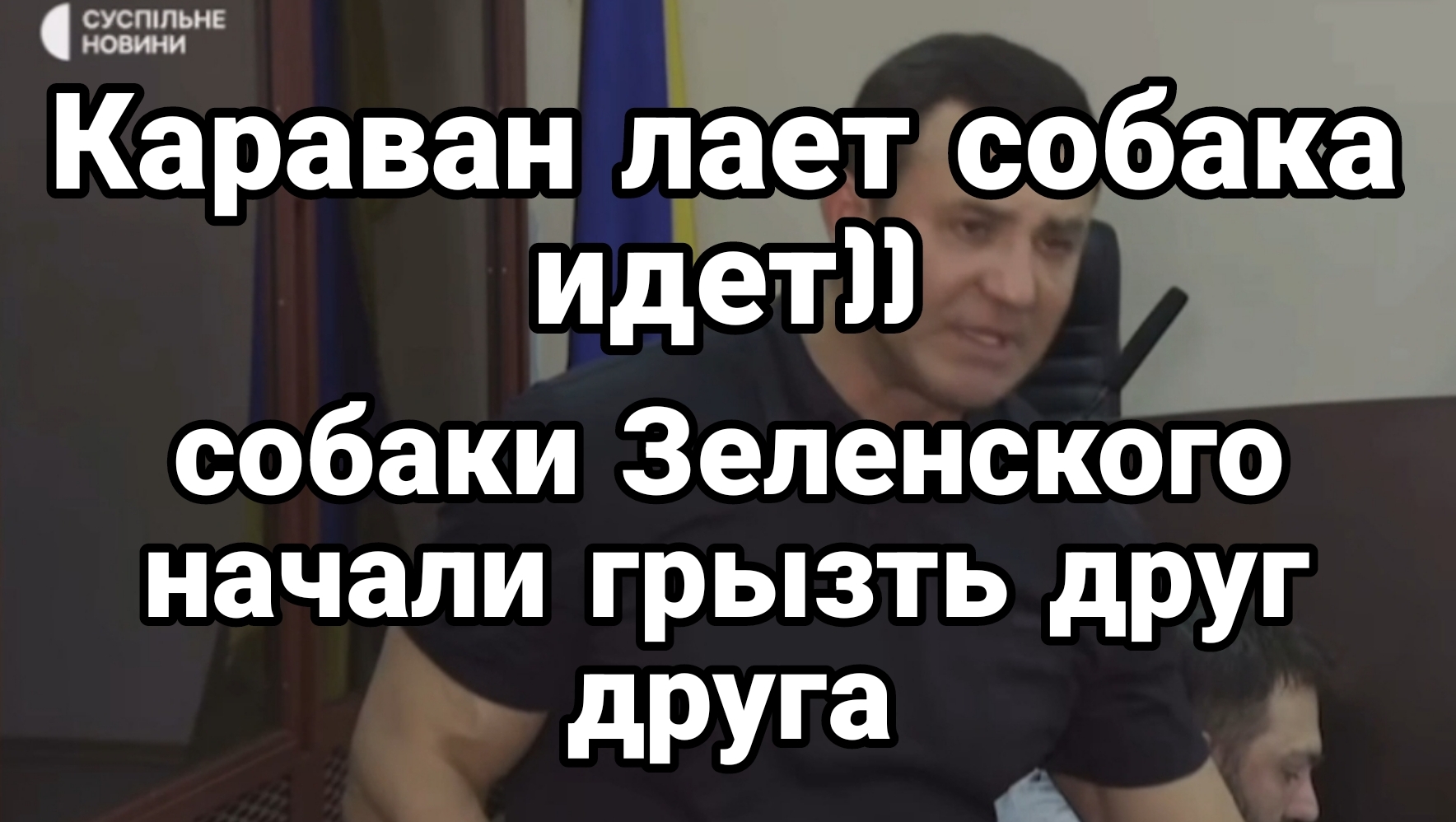 Собаки Зеленского начали грызть друг друга