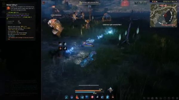 [Black Desert Online] Guide: Witch / Wizard